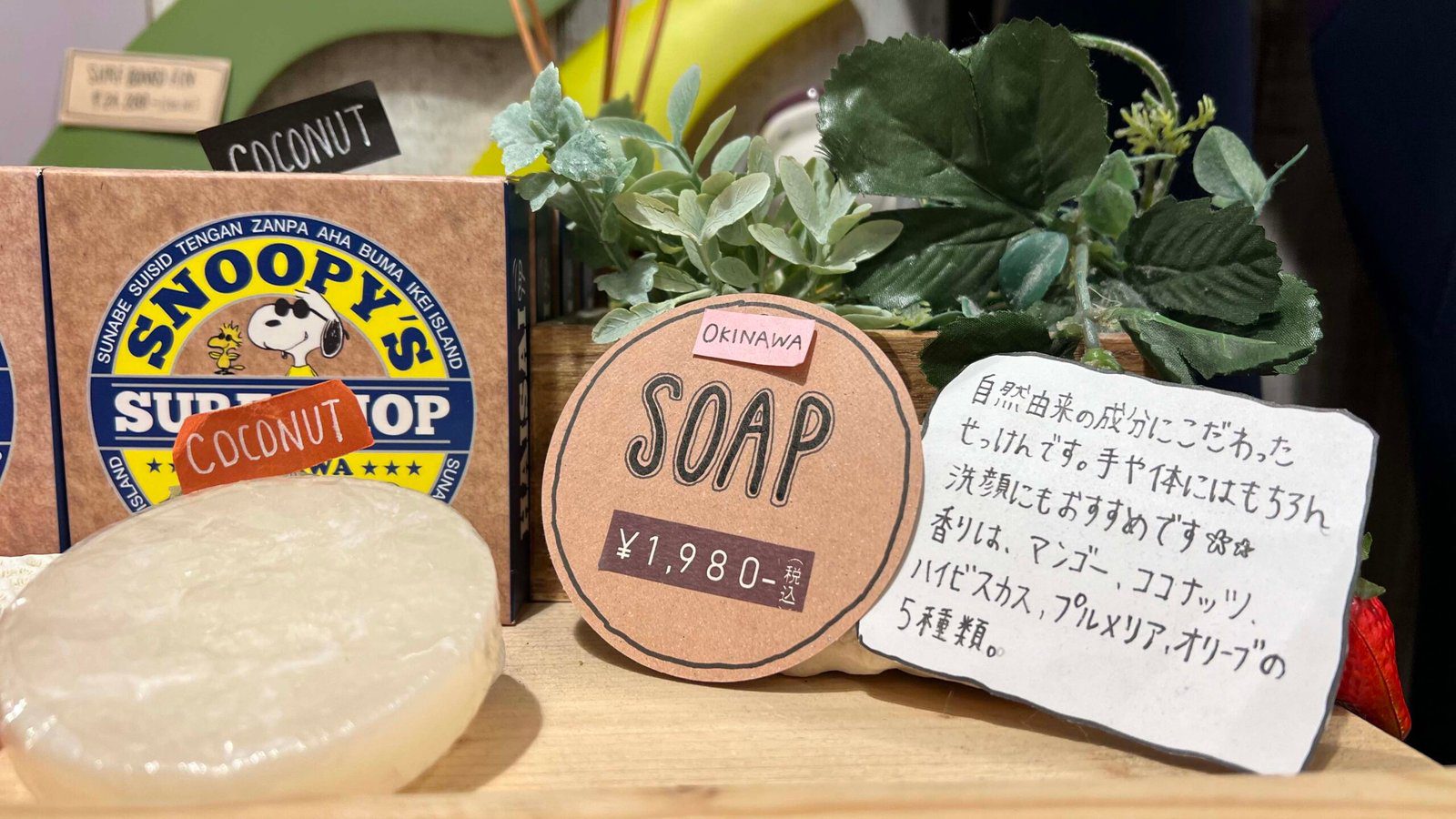 국제거리 기념품 쇼핑 스누피 서프샵 오키나와팝 - 5