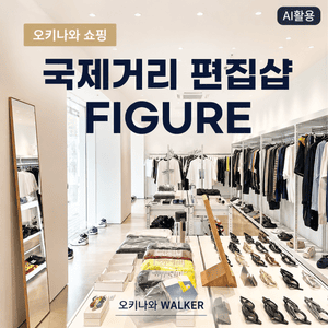 국제거리 편집샵 쇼핑 피규어 FIGURE 오키나와 WALKER - 8