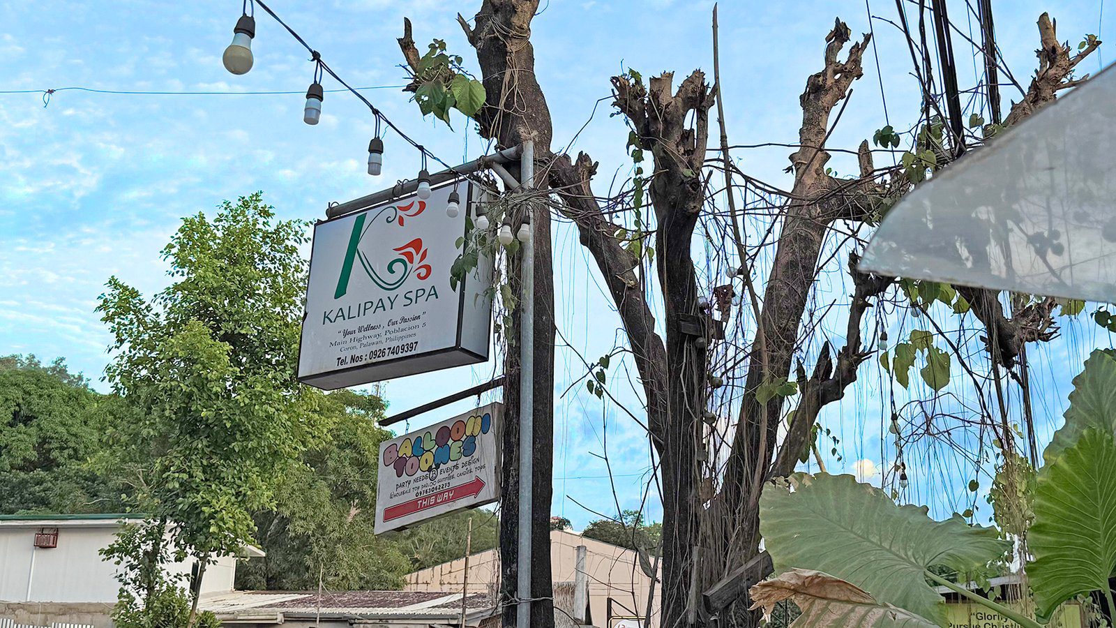 코론 마사지샵 칼리파이 스파