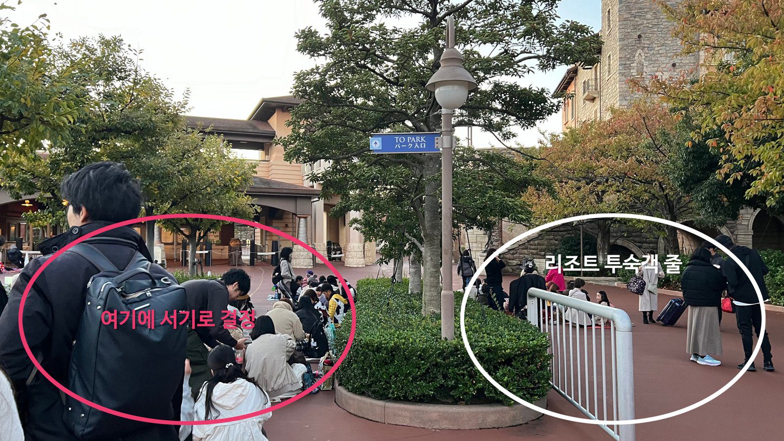 도쿄 디즈니씨 DPA SP 오픈런 꿀팁 퍼레이드 불꽃놀이 명당자리 크리스마스 - 27