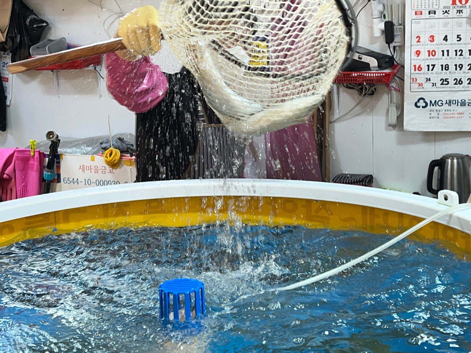 통영 먹거리 추천 서호시장 시락국, 고등어회, 충무김밥, 꿀빵 - 9