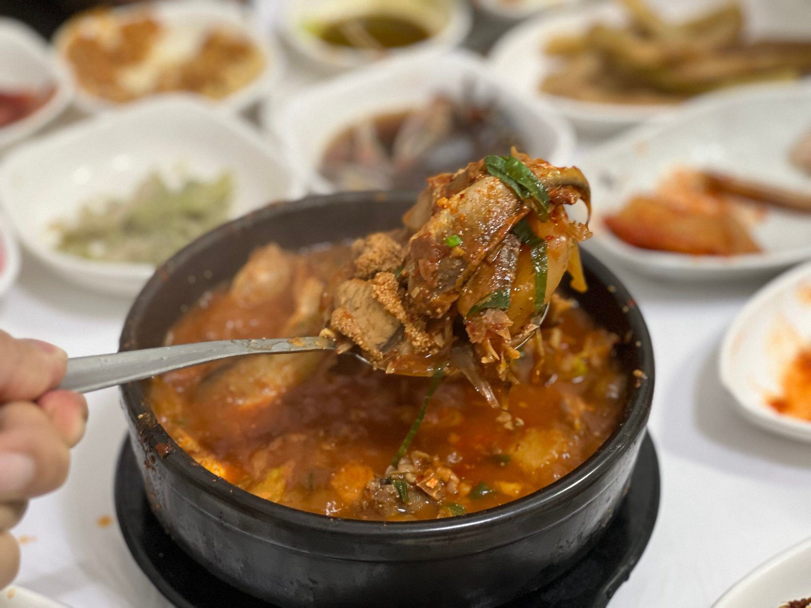 목포 현지인 맛집 허영만의 백반기행 선어회 자유시장 한샘이네 - 12