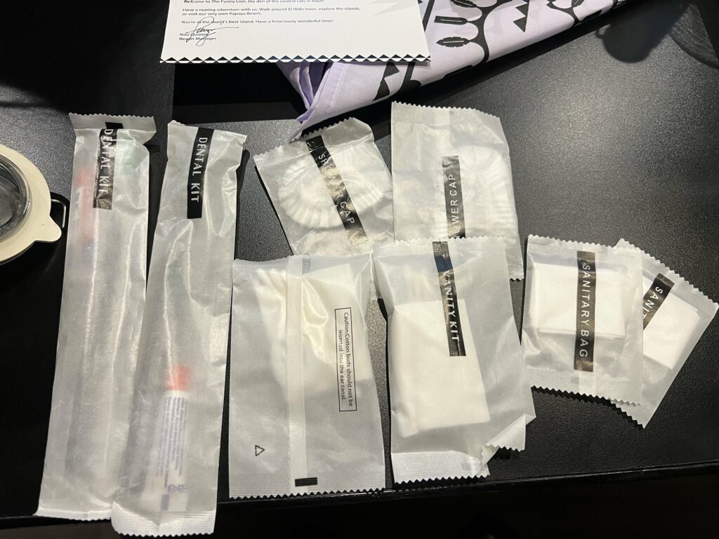 엘니도 숙소 더 퍼니 라이온 엘니도 The funny lion elnido 상세후기 - 14