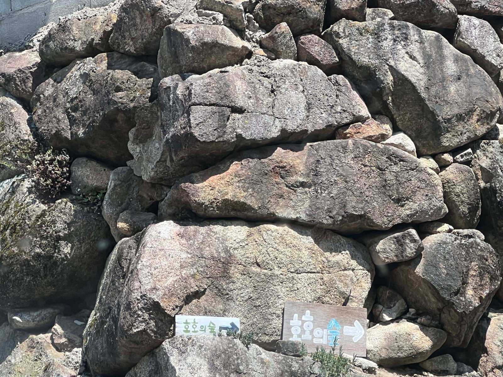 호호의숲 구례 마그넷 핸드메이드 기념품샵 - 4