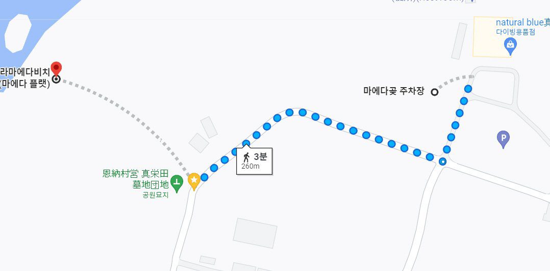 마에다 플랫 우라마에비치 오키나와 스노클링 포인트 추천2 - 4