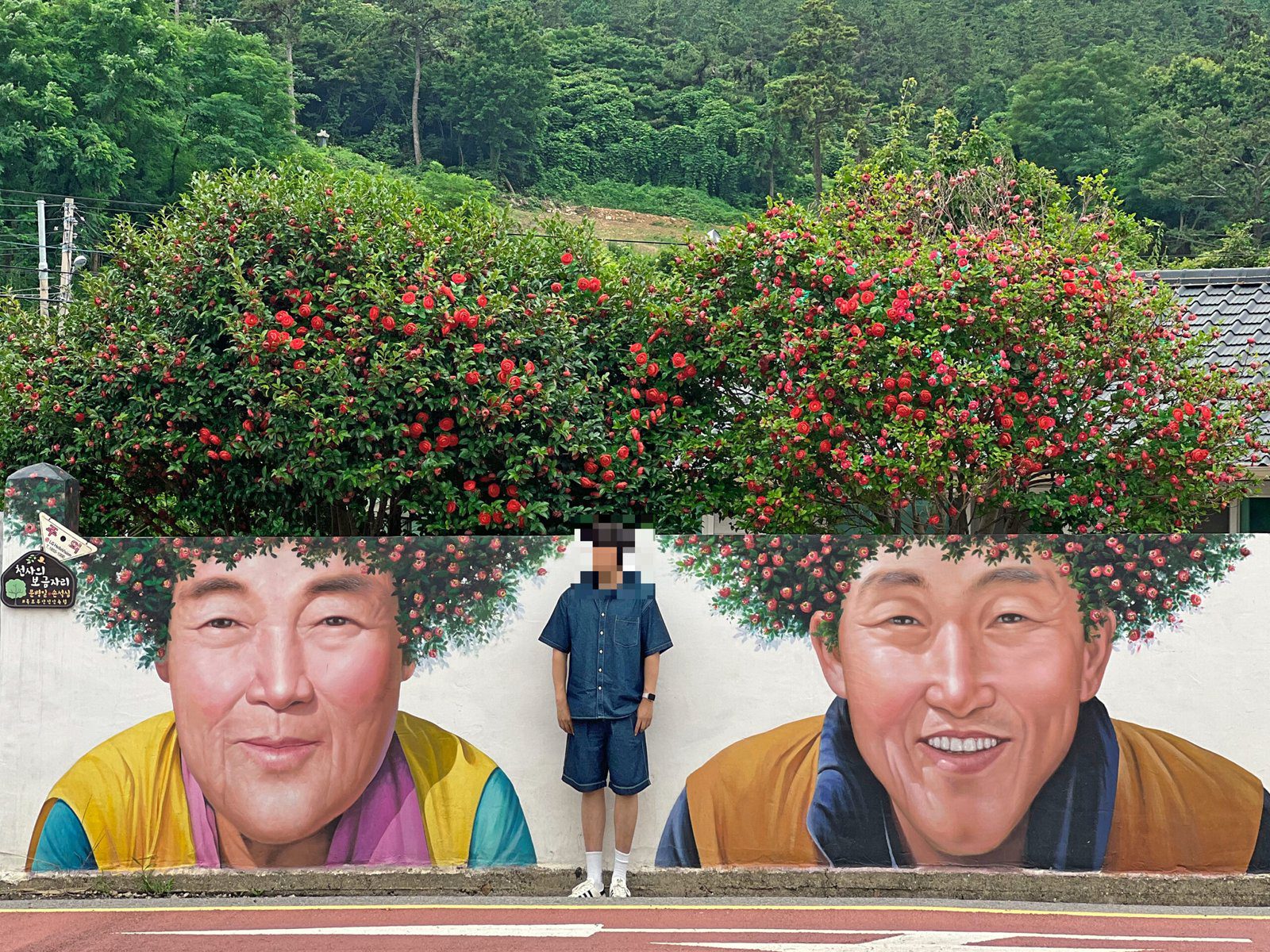 전남 신안 숙소 퍼플섬 퍼플스테이 퍼플박스 동백 파마머리 후기 - 49