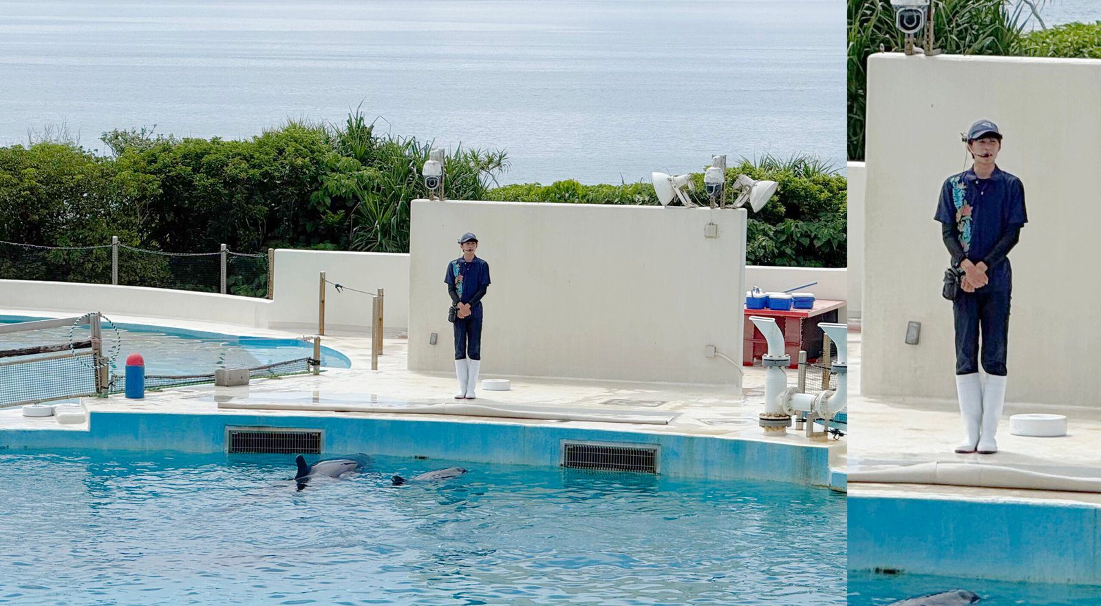 오키나와 오키짱쇼 츄라우미수족관 돌고래쇼 - 2