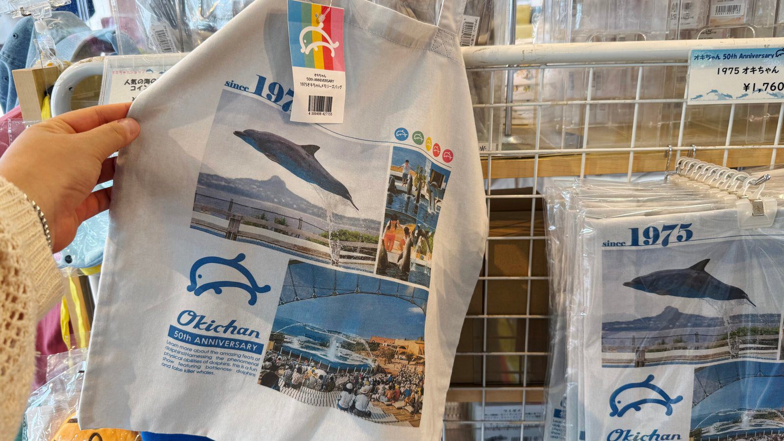 오키나와 오키짱쇼 츄라우미수족관 돌고래쇼 - 9