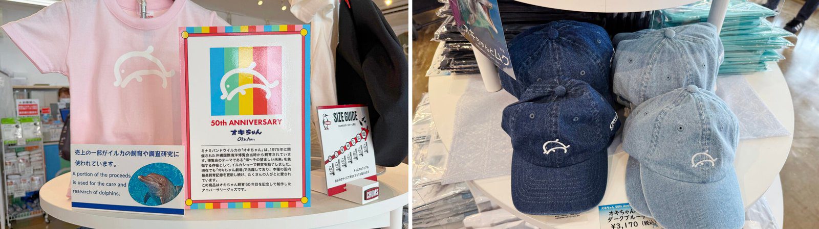 오키나와 오키짱쇼 츄라우미수족관 돌고래쇼 - 10