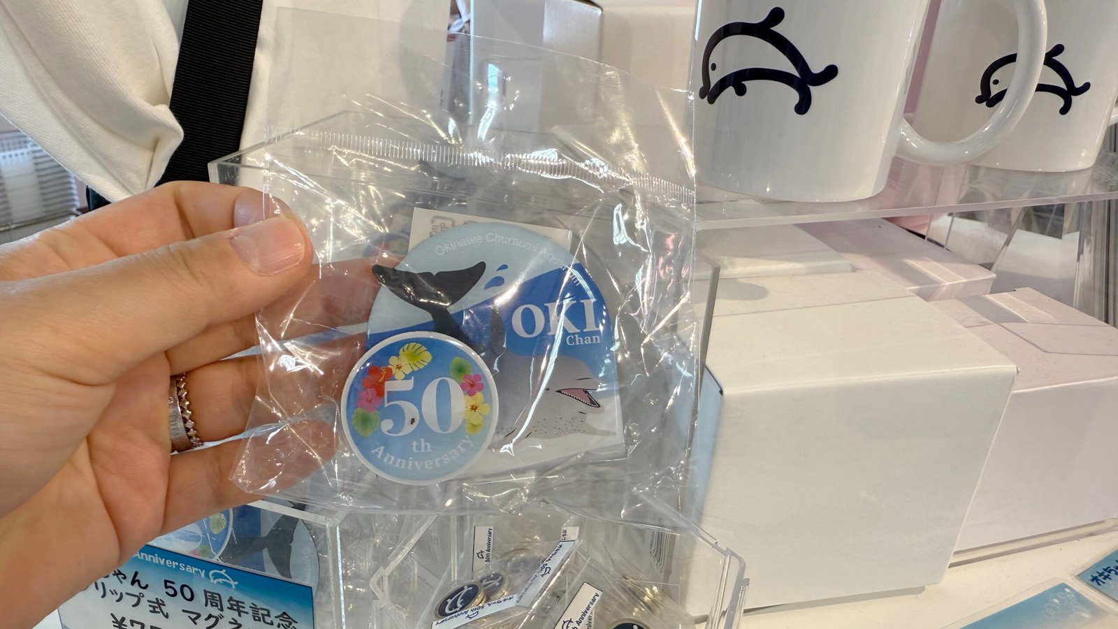 오키나와 오키짱쇼 츄라우미수족관 돌고래쇼 - 11