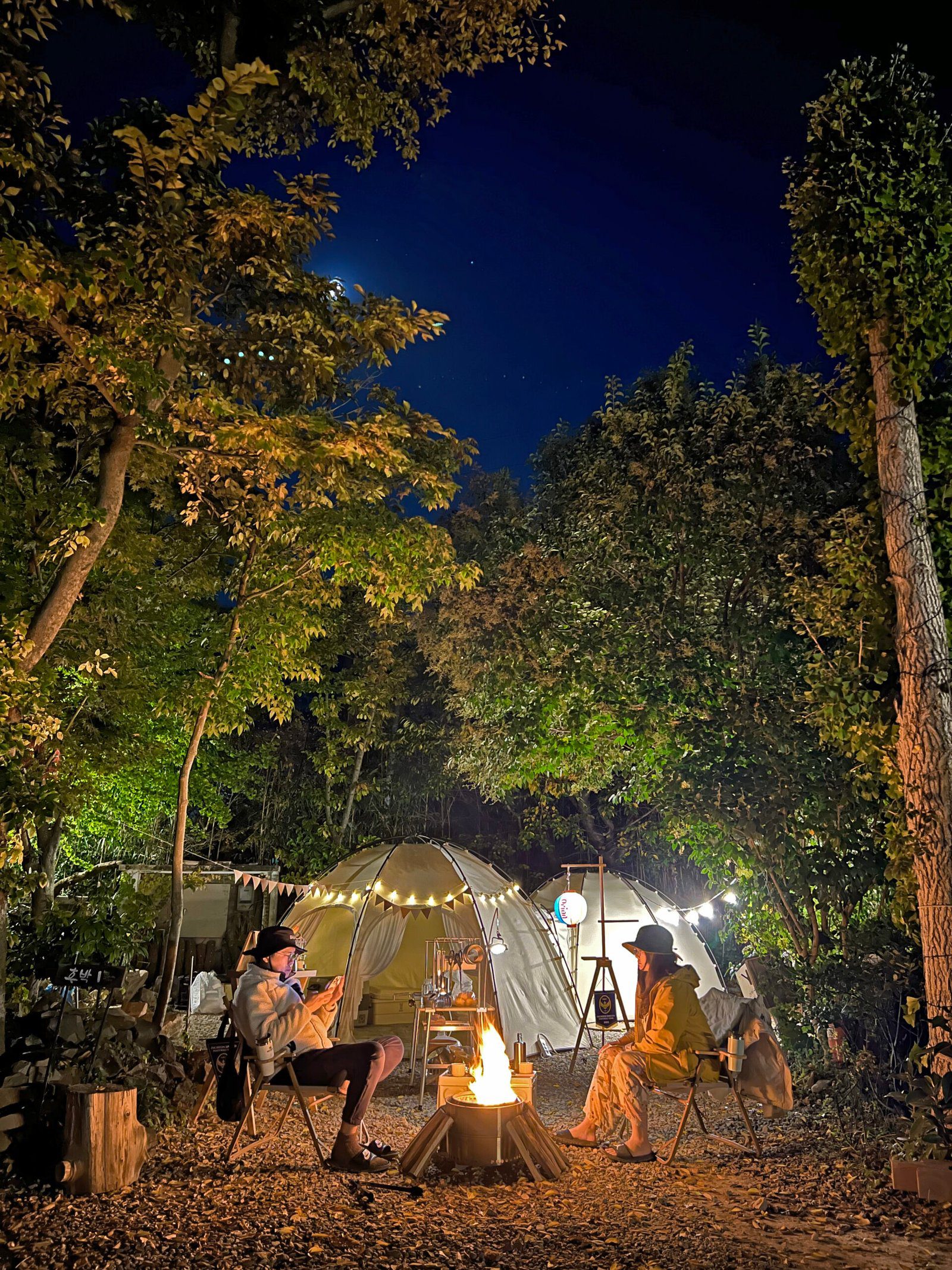 남해 버드하우스 캠핑장