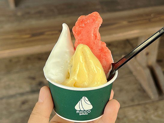 리코젤라또(RICCO GELATO)