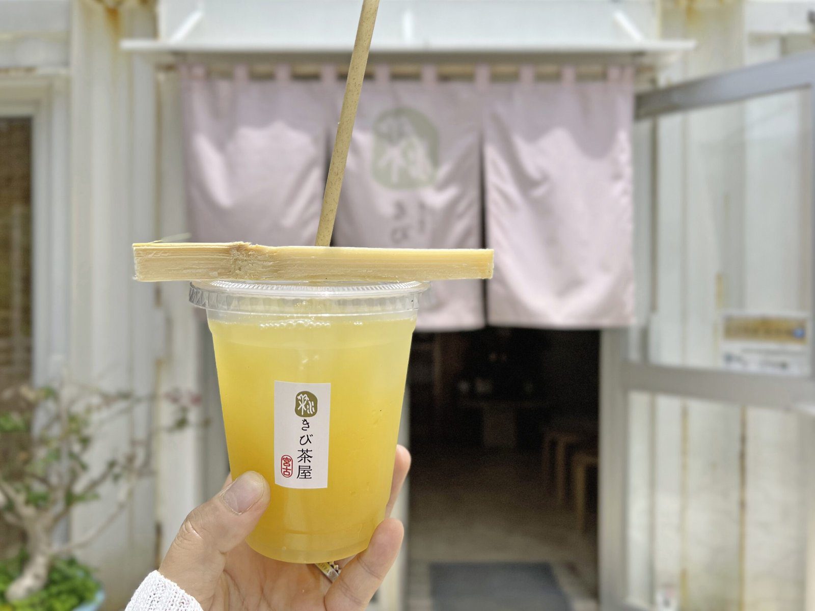 미야코 키비 차야 (宮古きび茶屋)