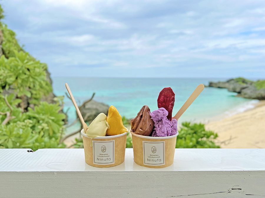 젤라또 니누파 (ninufa)