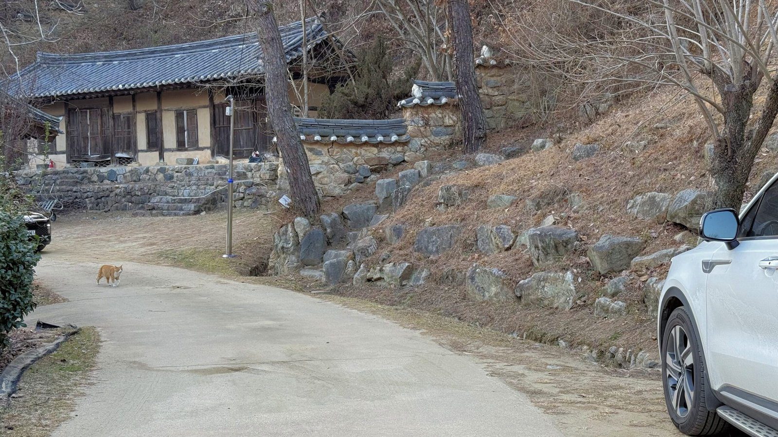 지례예술촌의 숨겨진 매력 400년 고택에서의 하룻밤 - 4