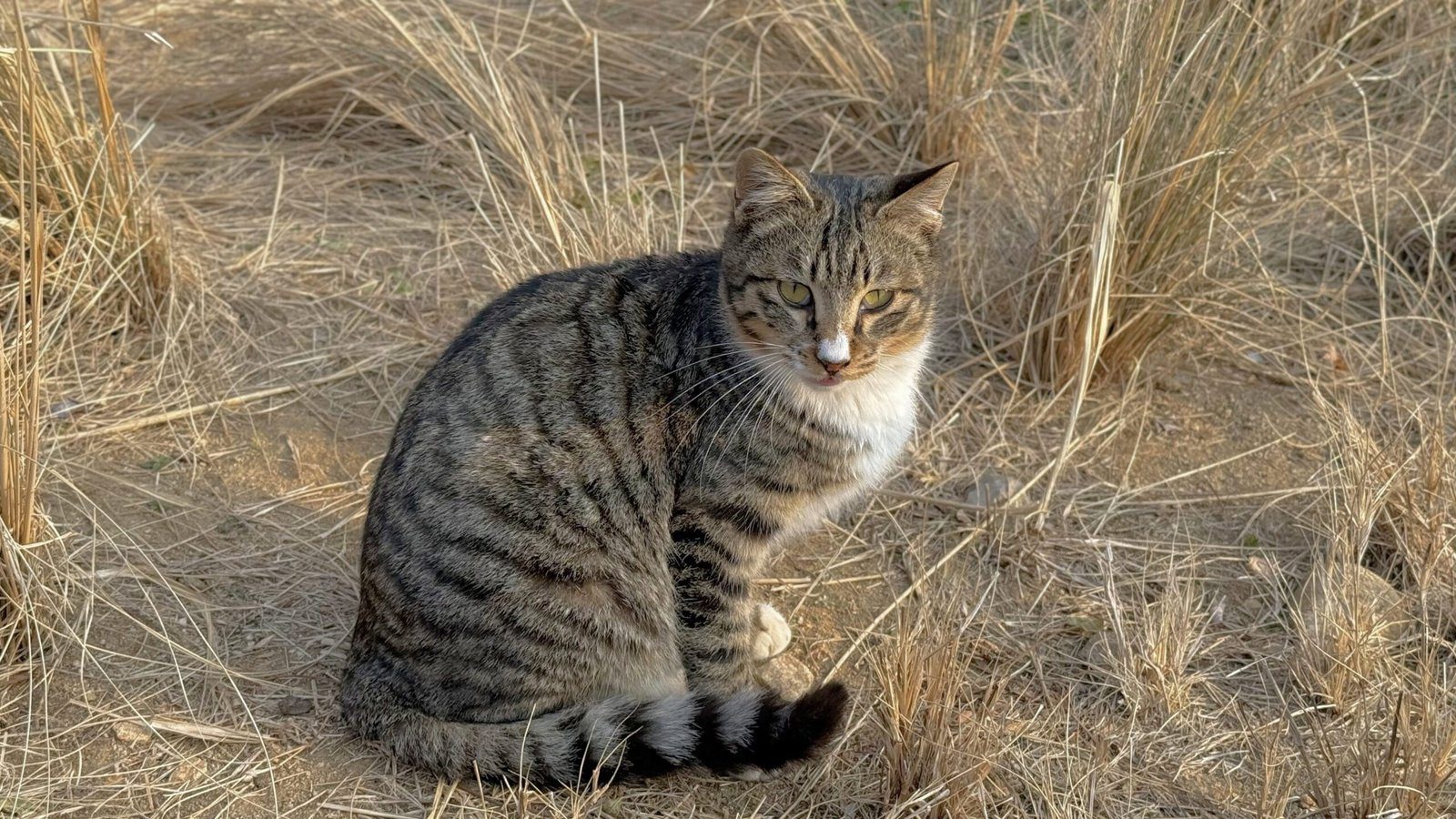 지례예술촌의 숨겨진 매력 400년 고택에서의 하룻밤 - 25