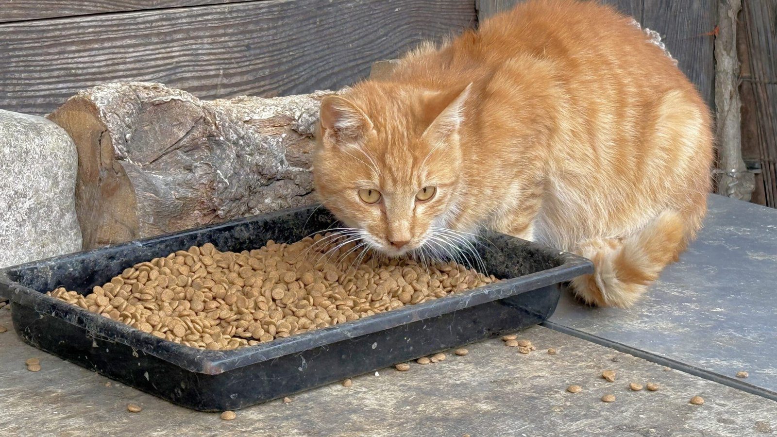 지례예술촌의 숨겨진 매력 400년 고택에서의 하룻밤 - 26