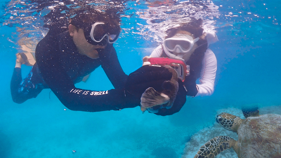 미야코지마 클리어패들