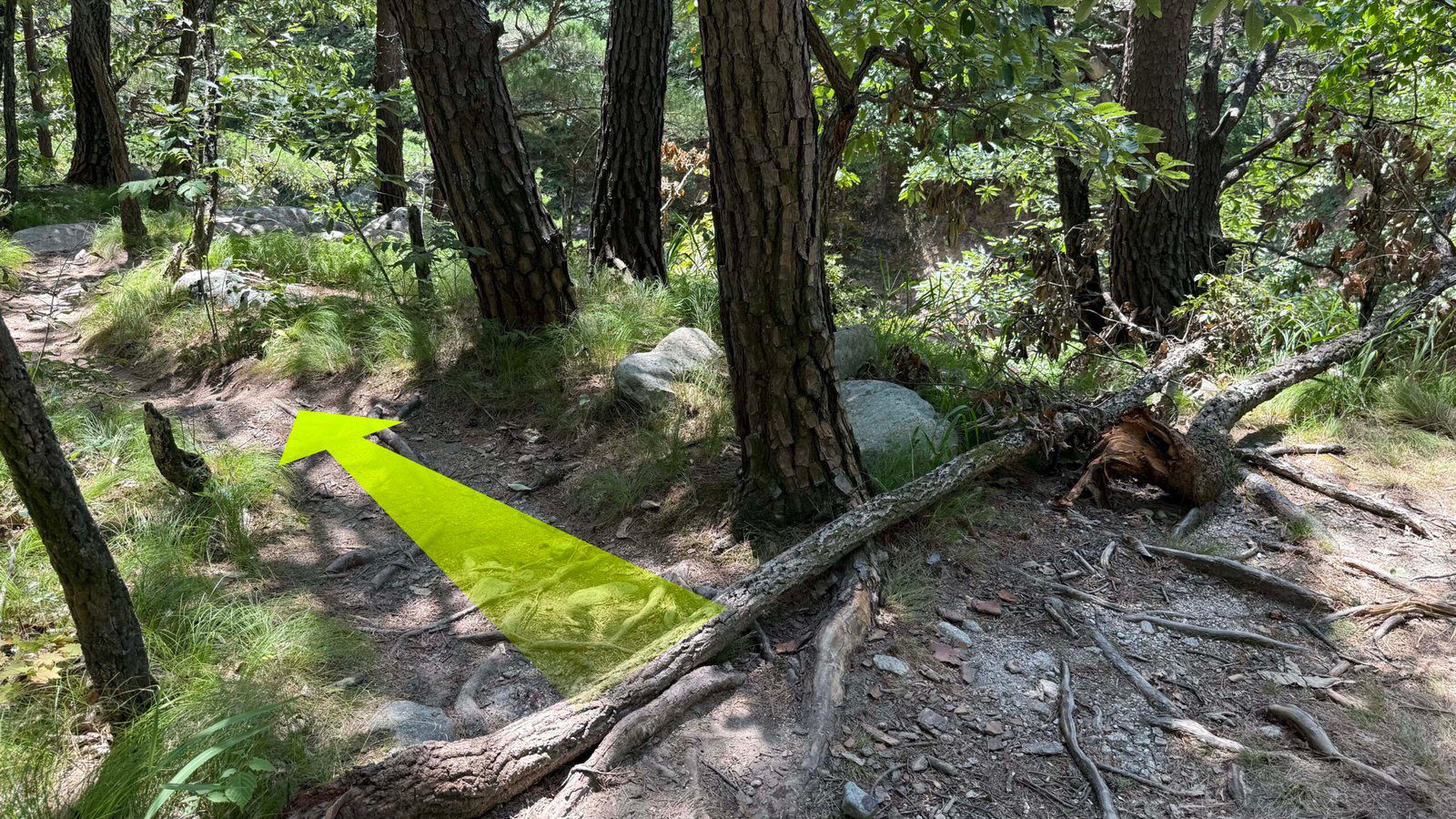 미시령계곡 선녀탕 가는길