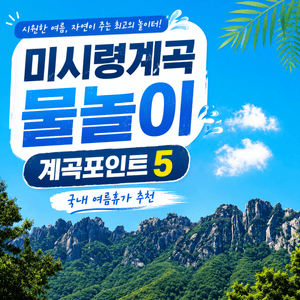 미시령계곡 물놀이 하기 좋은 계곡포인트5! 국내 여름휴가로 이만한 곳이 있을까? - 1