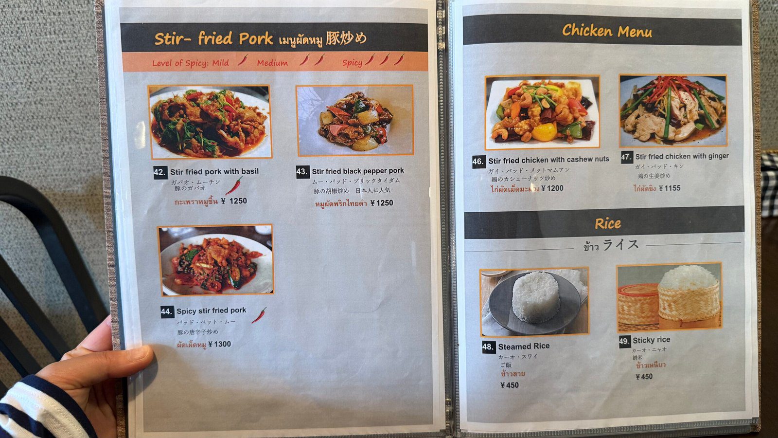 교토역 근처 맛집 탐방기┃크루어 갱 타이에서 만난 태국의 진한 풍미 - 11