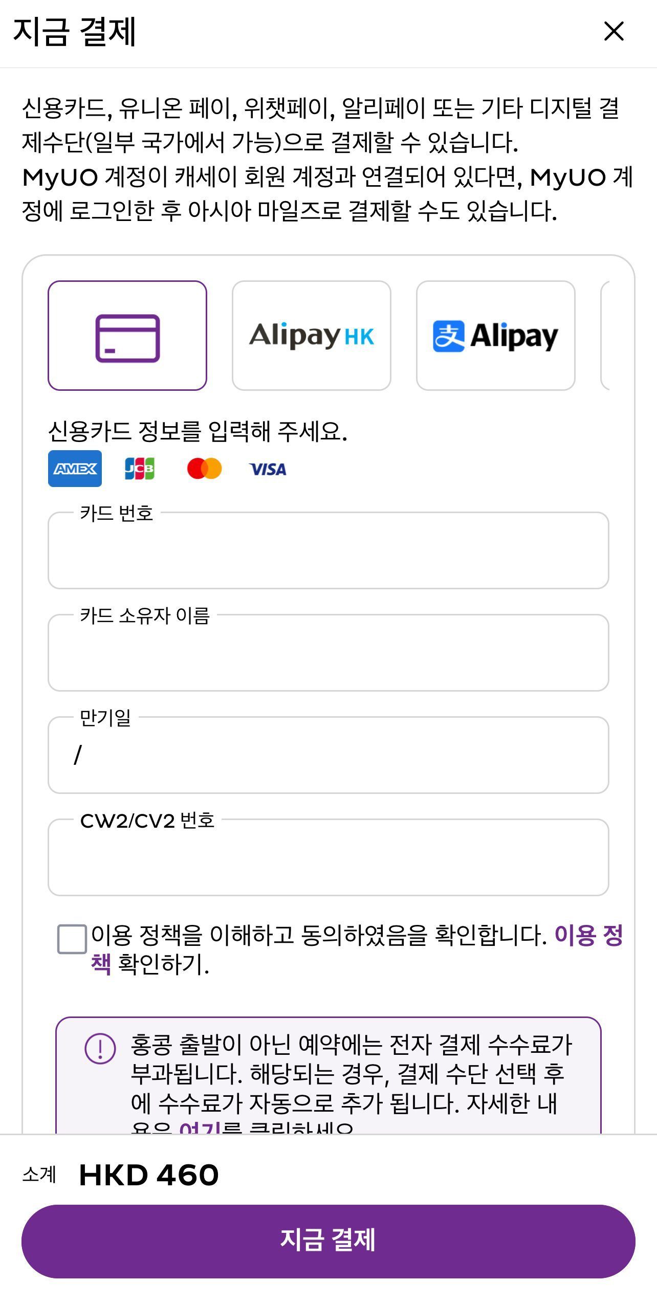Apple Pay와 신용카드 결제 수단이 표시된 추가 수하물 결제 화면