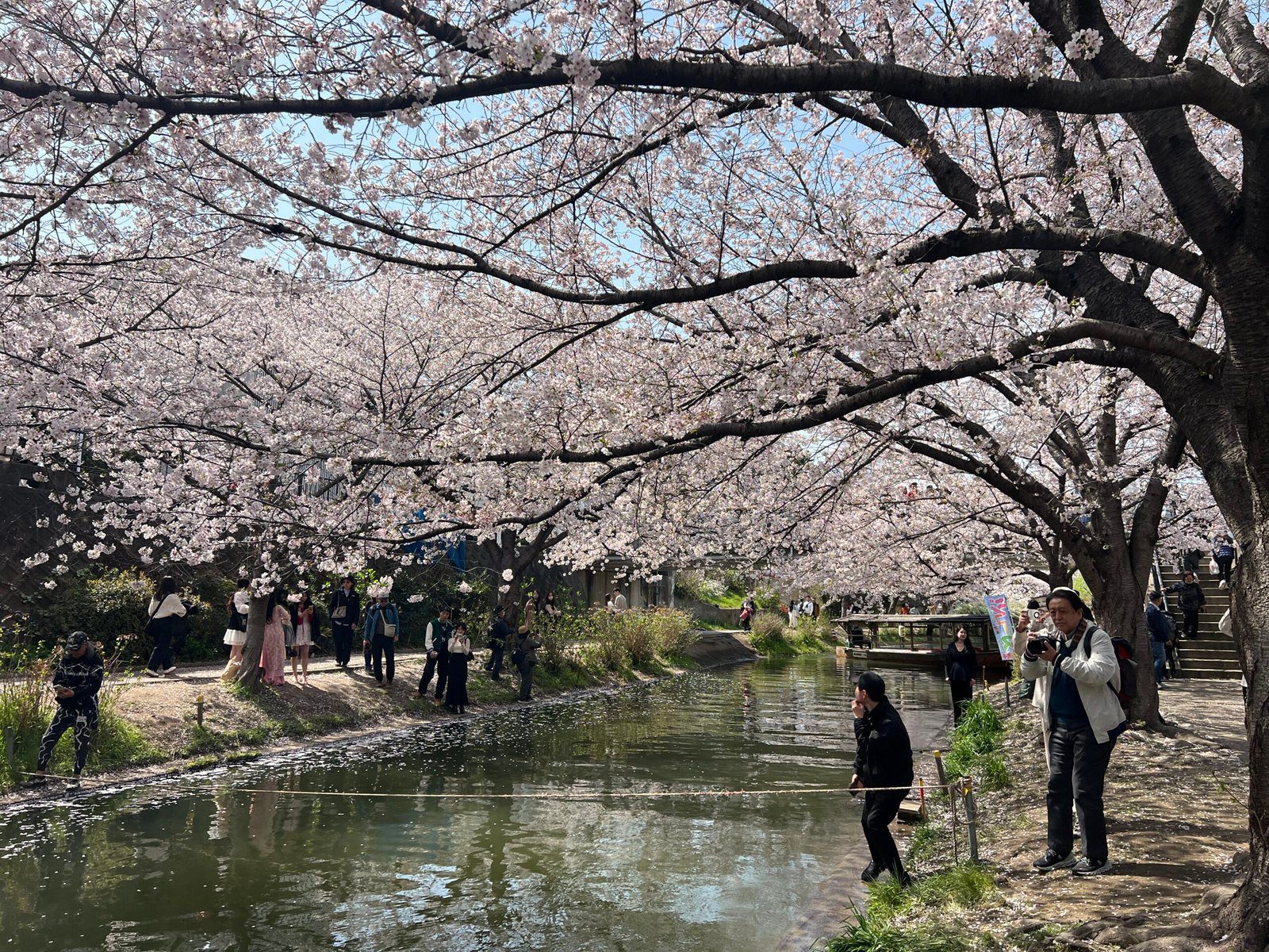 후시미 짓코쿠부네 교토 벚꽃 여행 코스 추천┃예약 방법, 운항 시간, 사진 스팟 정리 후시미 짓코쿠부네 교토 벚꽃 여행