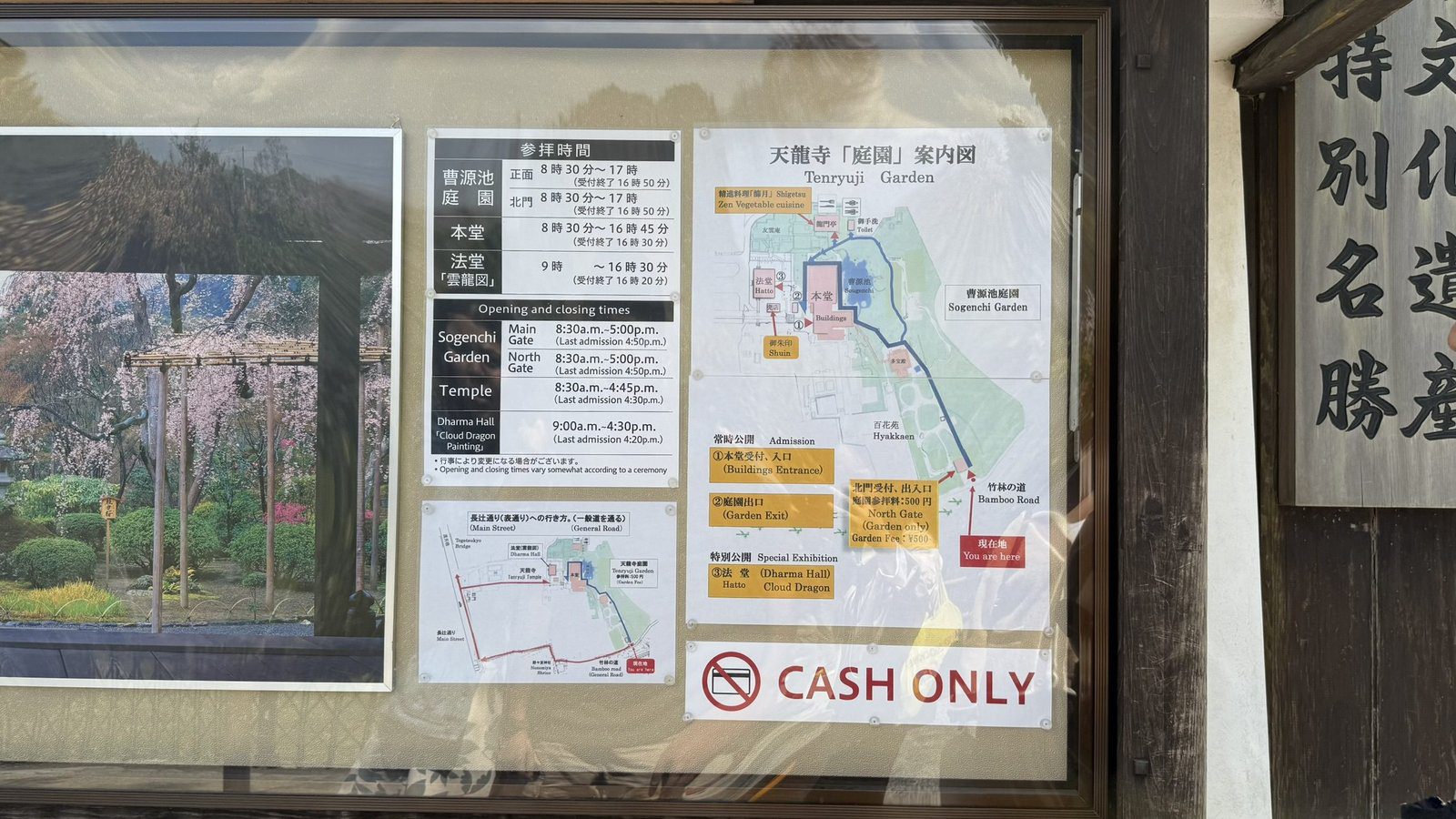 텐류지 4월 교토 벚꽃명소┃아라시야마 정원 입장료와 가는 법 완벽 가이드 텐류지 입장료