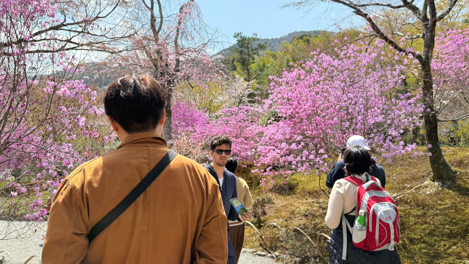 텐류지 4월 교토 벚꽃명소┃아라시야마 정원 입장료와 가는 법 완벽 가이드 - 17