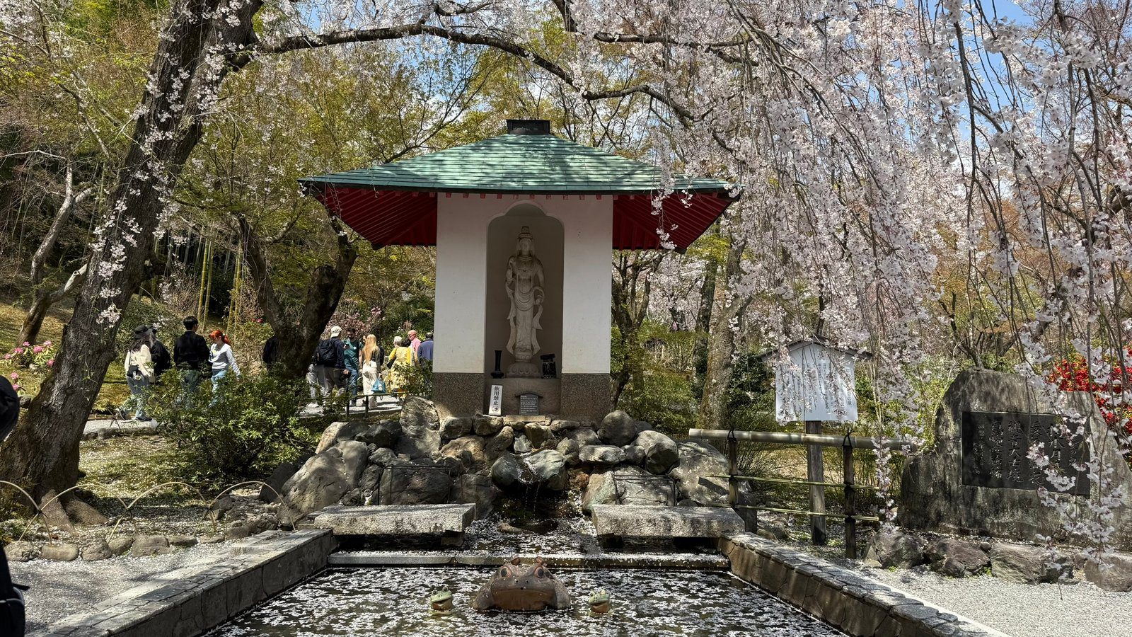 텐류지 4월 교토 벚꽃명소┃아라시야마 정원 입장료와 가는 법 완벽 가이드 - 19