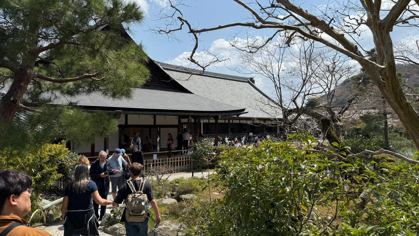 텐류지 4월 교토 벚꽃명소┃아라시야마 정원 입장료와 가는 법 완벽 가이드 - 23