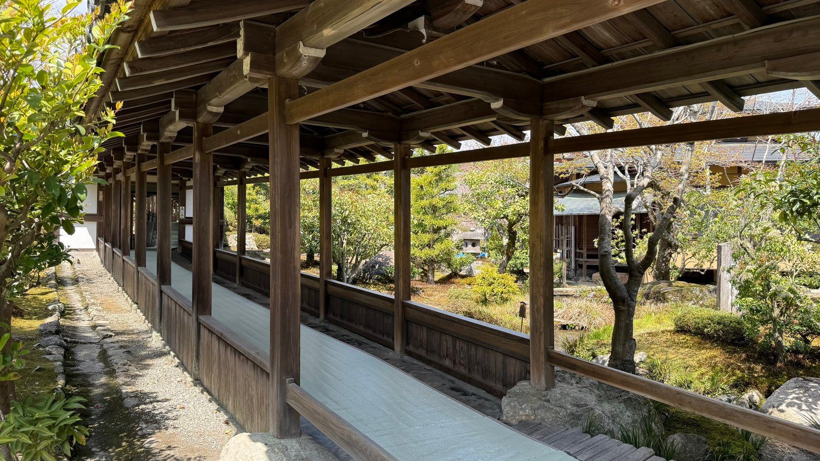 텐류지 4월 교토 벚꽃명소┃아라시야마 정원 입장료와 가는 법 완벽 가이드 - 24