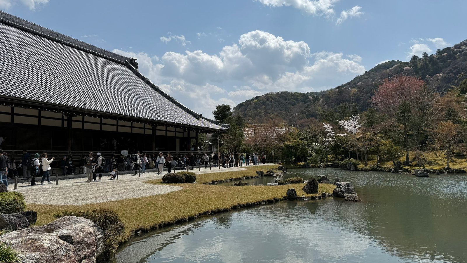 텐류지 4월 교토 벚꽃명소┃아라시야마 정원 입장료와 가는 법 완벽 가이드 - 25