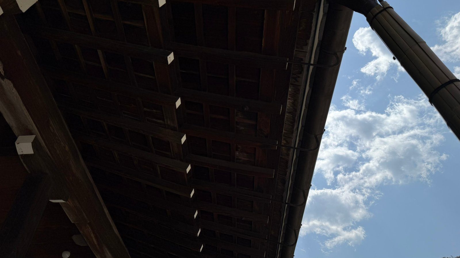 텐류지 4월 교토 벚꽃명소┃아라시야마 정원 입장료와 가는 법 완벽 가이드 - 27