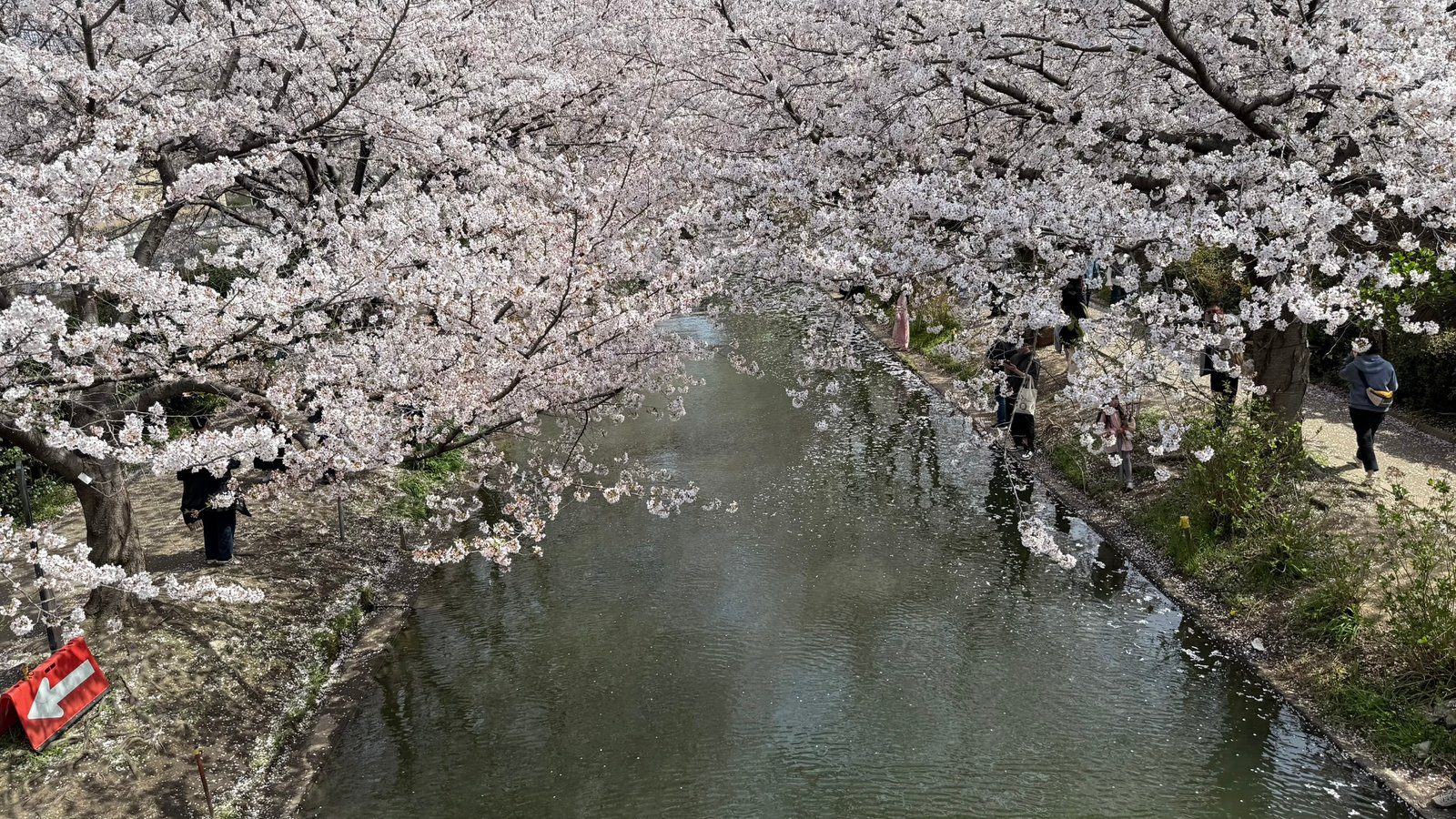 후시미 짓코쿠부네 교토 벚꽃 여행 코스 추천┃예약 방법, 운항 시간, 사진 스팟 정리 후시미 짓코쿠부네 교토 벚꽃 여행