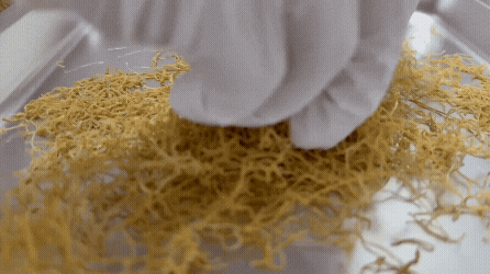 다이어트 두쫀쿠 만들기┃피스타치오와 콩담백면 그리고 타피오카로 만드는 레시피 - 9