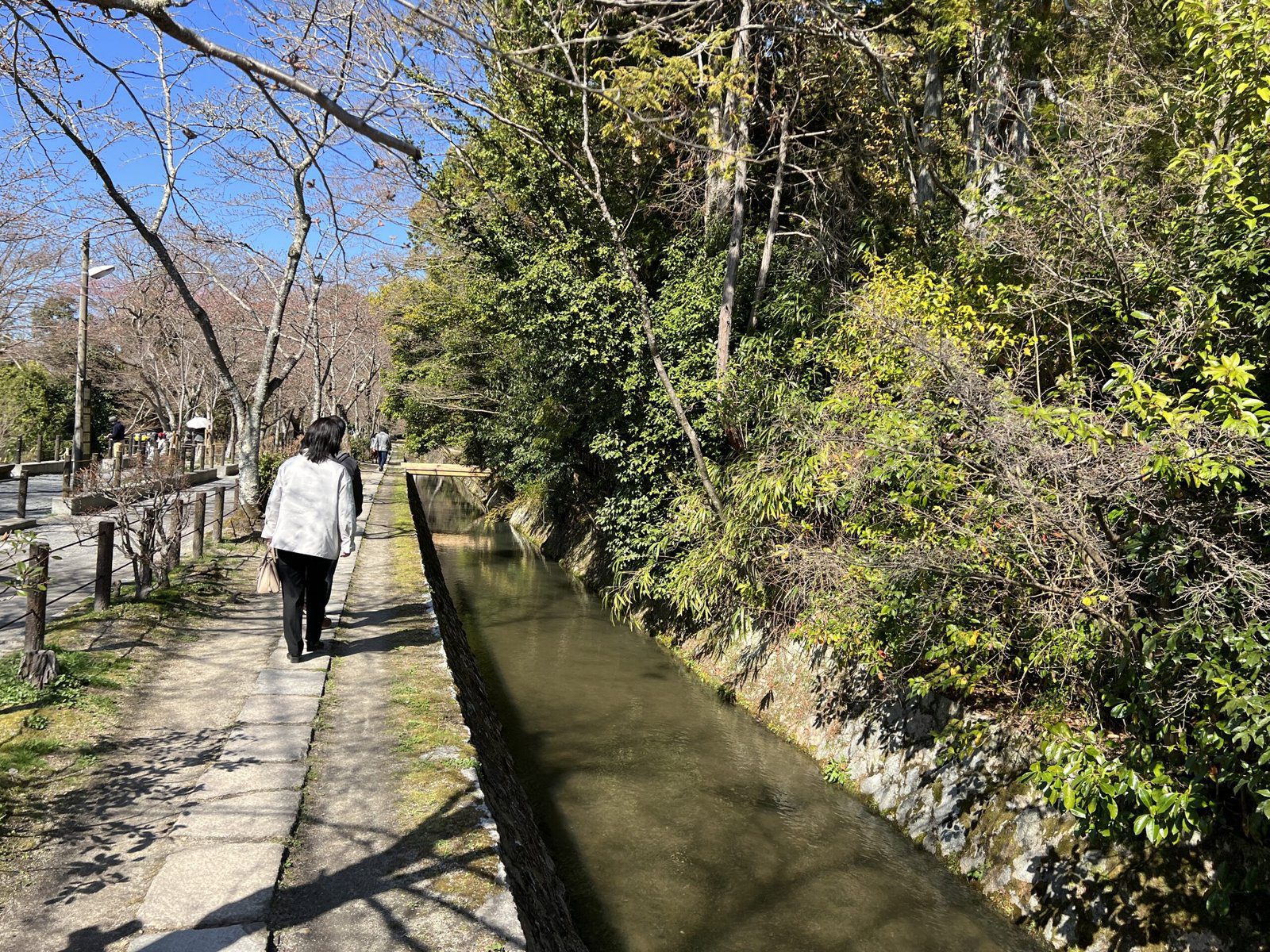 교토 벚꽃 명소 베스트 5 추천┃철학의 길, 마루야마공원, 텐류지, 후시미 짓코쿠부네 - 2
