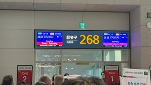 아시아나 항공 셀프 체크인┃간사이공항 입국심사 후기 - 1