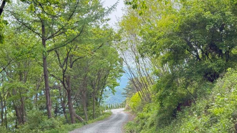 도착까지 이어지는 산길과 입구 원본 사진 2