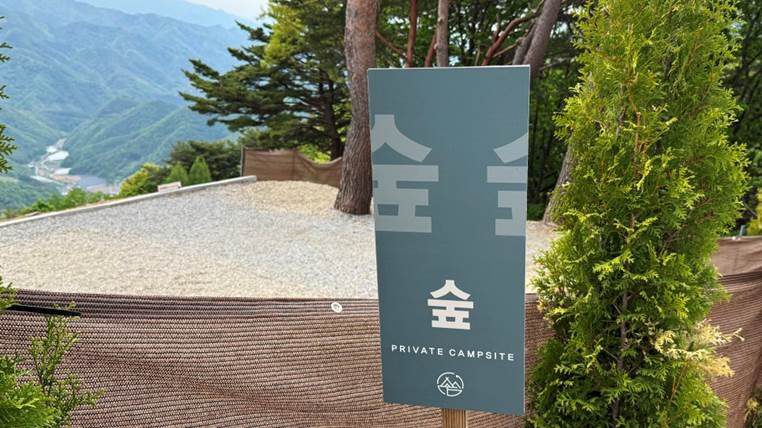 숲사이트 모습